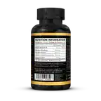 3 Foot World // Focus Nootropic