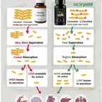 Co-crystal® Curcumin with BioPerine®
