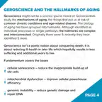 Fundamentum // NAD+ Antiaging