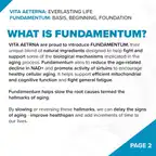 Fundamentum // NAD+ Antiaging