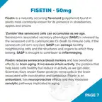 Fundamentum // NAD+ Antiaging