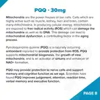 Fundamentum // NAD+ Antiaging