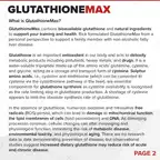 GlutathioneMAX // Liver & Antioxidant Support