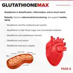 GlutathioneMAX // Liver & Antioxidant Support