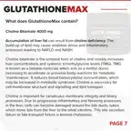 GlutathioneMAX // Liver & Antioxidant Support