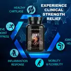 Joint Support // Anti-Inflammatory, Joint & Recovery Support