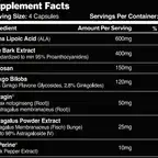 Kidney Support // Kidney & Bladder Support