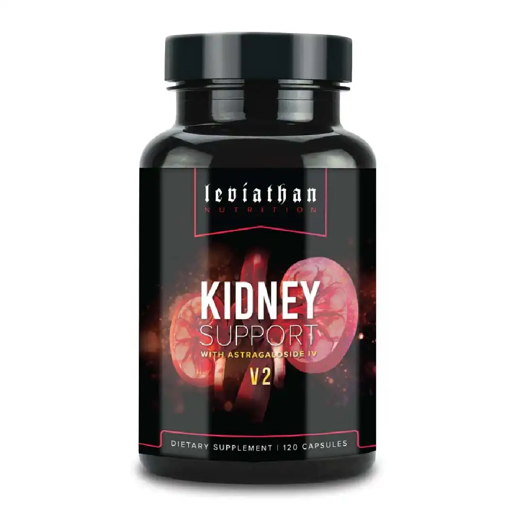 Kidney Support // Kidney & Bladder Support