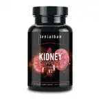 Kidney Support // Kidney & Bladder Support