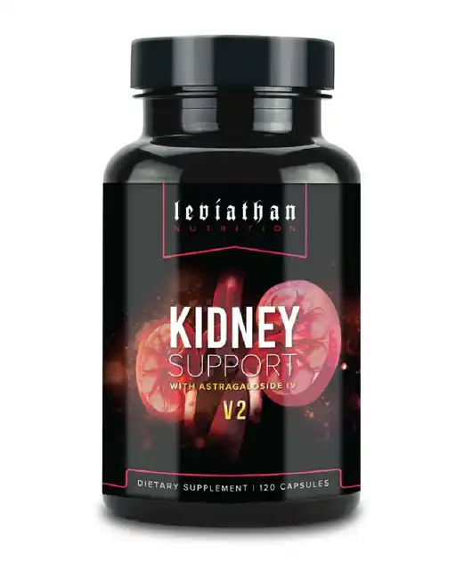 Kidney Support // Kidney & Bladder Support