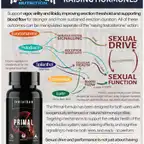 Primal // Libido & Male Performance