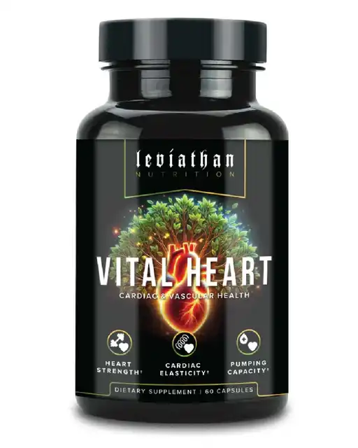 Vital Heart // Cardiovascular Health